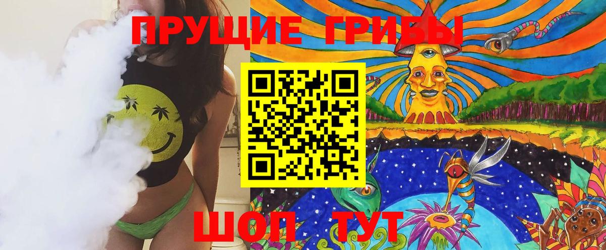 купить закладку  Вход с VPN  Керчь  Галлюциногенные грибы GOLDEN TEACHER 